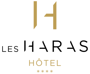 logo (1)